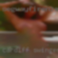 Cardiff swingers