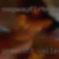 Prescott Valley swingers